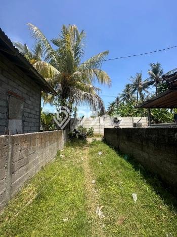 Tanah Kavling Dijual di Buleleng dengan Spesifikasi 1210m2 Tanah Kavling Dijual di Buleleng dengan Spesifikasi 1210m2