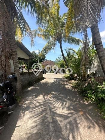 Tanah Kavling Dijual di Buleleng dengan Spesifikasi 1210m2 Tanah Kavling Dijual di Buleleng dengan Spesifikasi 1210m2