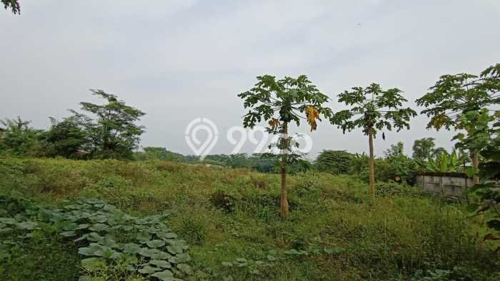 Tanah Dijual Area Strategis di Subang Kota Subang 11350m2 Tanah Dijual Area Strategis di Subang Kota Subang 11350m2