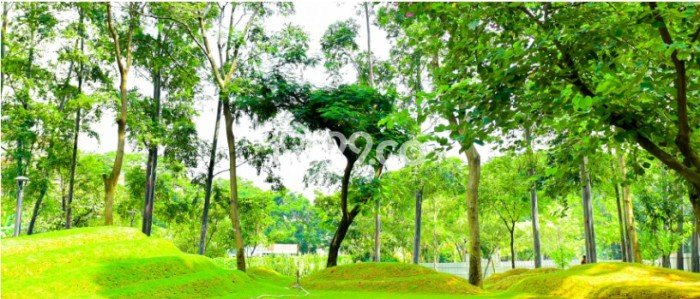 Lahan Kosong Dijual di Jakarta Selatan dengan Area 611m2 Lahan Kosong Dijual di Jakarta Selatan dengan Area 611m2