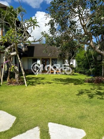 AREA BISNIS! Komersial di Pecatu, Luas 2500m², Jalan Utama, Strategis AREA BISNIS! Komersial di Pecatu, Luas 2500m², Jalan Utama, Strategis