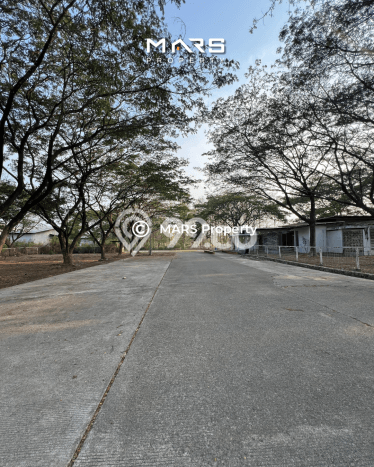HARGA MENARIK! Tanah Kawasan Subang, Luas 54000m2m², Lokasi Berkembang, Bebas Longsor HARGA MENARIK! Tanah Kawasan Subang, Luas 54000m2m², Lokasi Berkembang, Bebas Longsor