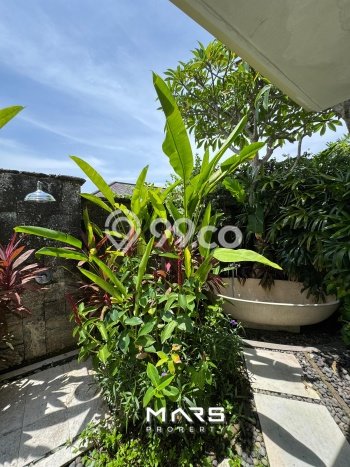 For Sale! Vila Kawasan , Luas 1729m2m², Akses Mudah Pusat Kota For Sale! Vila Kawasan , Luas 1729m2m², Akses Mudah Pusat Kota
