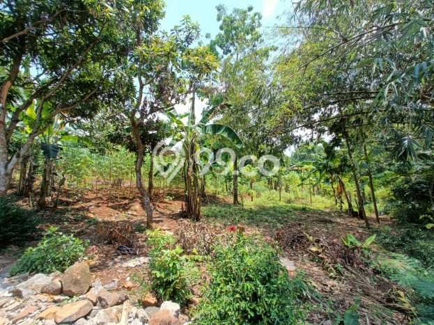 Kavling Tanah Dijual di Mijen Semarang Spesifikasi 4632m2 Kavling Tanah Dijual di Mijen Semarang Spesifikasi 4632m2
