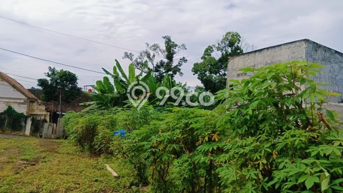 Tanah di Ngaliyan, Semarang Luas 130m2 Dijual Segera Tanah di Ngaliyan, Semarang Luas 130m2 Dijual Segera