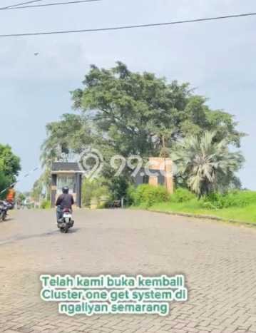 For Sale Rumah 3 Kamar Lokasi Ideal Bagus dan Strategis di Ngaliyan For Sale Rumah 3 Kamar Lokasi Ideal Bagus dan Strategis di Ngaliyan