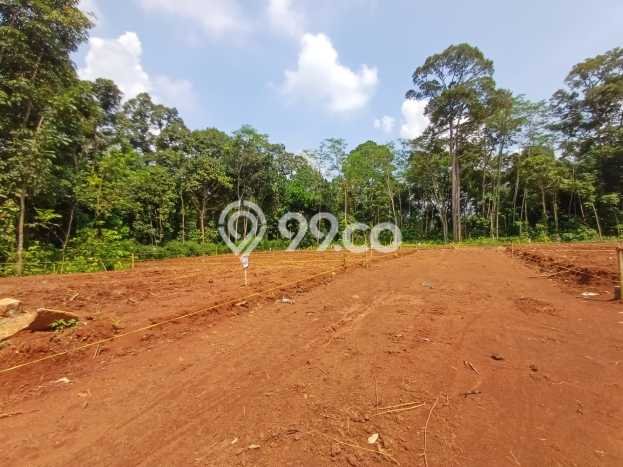 Lahan Dijual Lokasi Gunung Pati, Semarang dengan Luas Tanah 120m2 dan Status SHM Lahan Dijual Lokasi Gunung Pati, Semarang dengan Luas Tanah 120m2 dan Status SHM