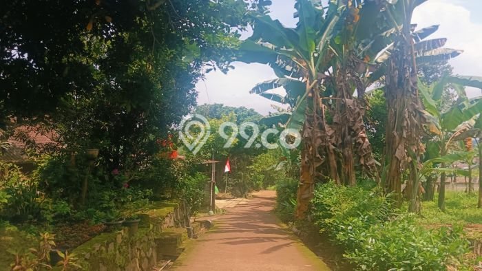 Dijual Tanah Lokasi Boja, Semarang Seluas 2066m2 Dijual Tanah Lokasi Boja, Semarang Seluas 2066m2