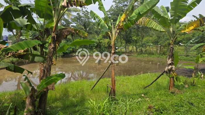 LOKASI STRATEGIS! Vila Kawasan Tenjolaya, Area 2956m2m², View Menarik di area LOKASI STRATEGIS! Vila Kawasan Tenjolaya, Area 2956m2m², View Menarik di area