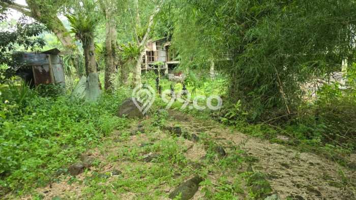 LOKASI STRATEGIS! Vila Kawasan Tenjolaya, Area 2956m2m², View Menarik di area LOKASI STRATEGIS! Vila Kawasan Tenjolaya, Area 2956m2m², View Menarik di area