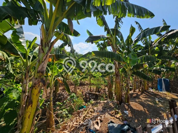 Lahan Kosong Dijual di Ngaliyan, Semarang, Luas 7189m2 Area Strategis Lahan Kosong Dijual di Ngaliyan, Semarang, Luas 7189m2 Area Strategis