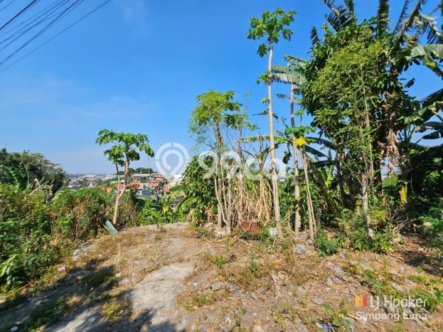 Lahan Kosong Dijual di Ngaliyan, Semarang, Luas 7189m2 Area Strategis Lahan Kosong Dijual di Ngaliyan, Semarang, Luas 7189m2 Area Strategis
