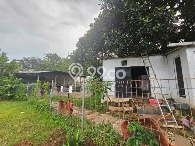 Kavling Tanah Lokasi Strategis di Tembalang, Semarang Disewakan 1000m2 Kavling Tanah Lokasi Strategis di Tembalang, Semarang Disewakan 1000m2