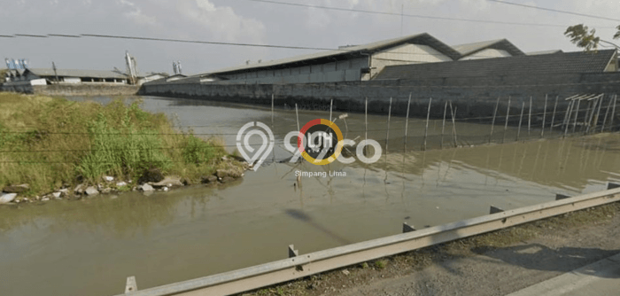 Lahan Investasi Lokasi Sayung Demak SHM Lahan Investasi Lokasi Sayung Demak SHM