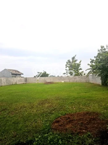 Kavling Tanah Lokasi Strategis di Tembalang, Semarang Disewakan 1000m2 Kavling Tanah Lokasi Strategis di Tembalang, Semarang Disewakan 1000m2