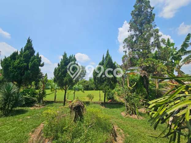 Kavling Tanah Dijual di Cipeundeuy, Subang, Luas 14538m2 Area Strategis Kavling Tanah Dijual di Cipeundeuy, Subang, Luas 14538m2 Area Strategis