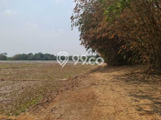 Untuk Dijual Tanah di Pabuaran Subang Luas 100000m2 SHM Untuk Dijual Tanah di Pabuaran Subang Luas 100000m2 SHM