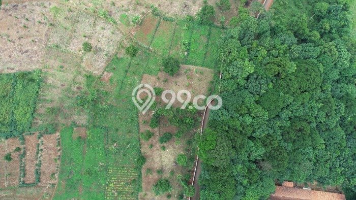 Lahan Investasi Lokasi Cianjur Cianjur SHM Lahan Investasi Lokasi Cianjur Cianjur SHM