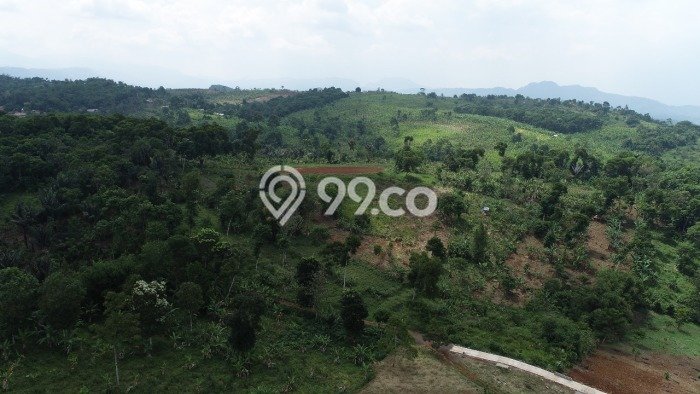 Lahan Investasi Lokasi Cianjur Cianjur SHM Lahan Investasi Lokasi Cianjur Cianjur SHM
