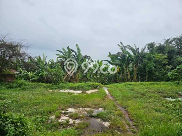 Kavling Tanah di Cipeundeuy Dijual Luas 300000m2 Legalitas SHM Kavling Tanah di Cipeundeuy Dijual Luas 300000m2 Legalitas SHM