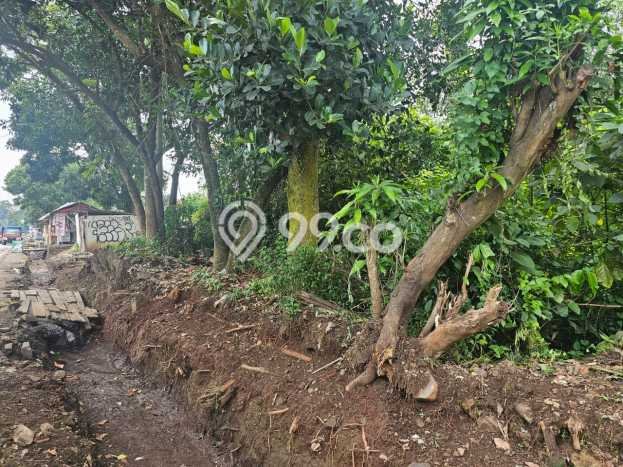 Lahan Investasi Lokasi Kalijati Subang SHM Lahan Investasi Lokasi Kalijati Subang SHM