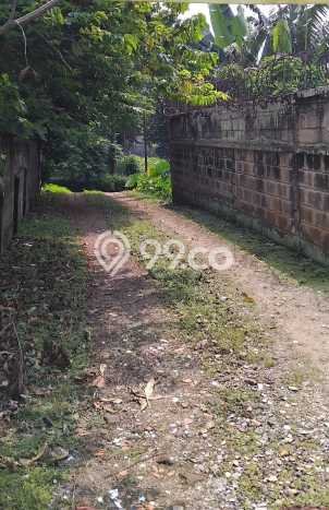 Tanah di Cilandak, Jakarta Selatan Luas 5386m2 Dijual Segera Tanah di Cilandak, Jakarta Selatan Luas 5386m2 Dijual Segera