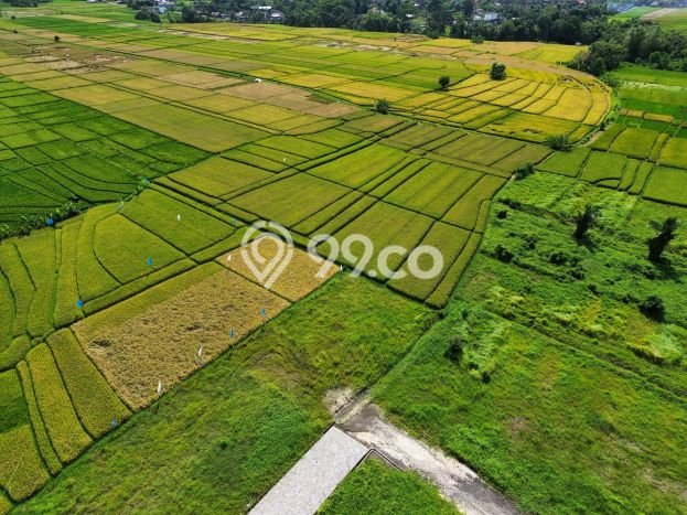 LOKASI STRATEGIS! Tanah Kawasan , Luas 555m2m², Tepi Jalan Raya LOKASI STRATEGIS! Tanah Kawasan , Luas 555m2m², Tepi Jalan Raya