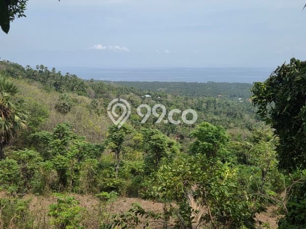 Tanah Area Berkembang Kawasan , Luas 3070m2m², Kawasan Nyaman, Dekat Buleleng, Buleleng Tanah Area Berkembang Kawasan , Luas 3070m2m², Kawasan Nyaman, Dekat Buleleng, Buleleng