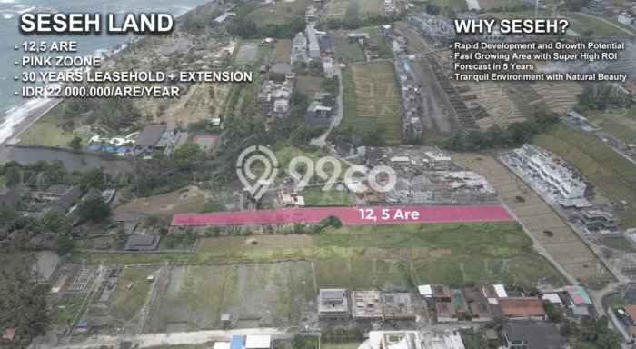 Tanah untuk Disewa di Badung Luas 1250m2 Tanah untuk Disewa di Badung Luas 1250m2