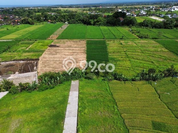 LOKASI STRATEGIS! Tanah Kawasan , Luas 555m2m², Tepi Jalan Raya LOKASI STRATEGIS! Tanah Kawasan , Luas 555m2m², Tepi Jalan Raya