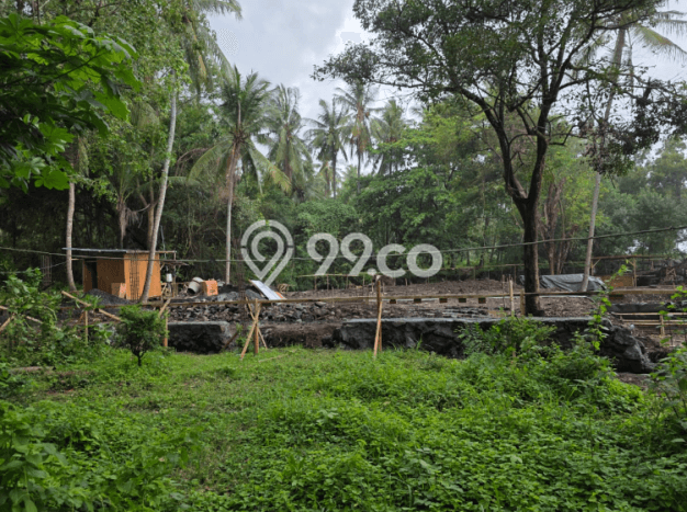 Lahan untuk Dijual di Buleleng Buleleng Luas 2500m2 Lahan untuk Dijual di Buleleng Buleleng Luas 2500m2