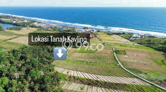 Lahan untuk Dijual di Tabanan Tabanan Luas 300m2 Lahan untuk Dijual di Tabanan Tabanan Luas 300m2