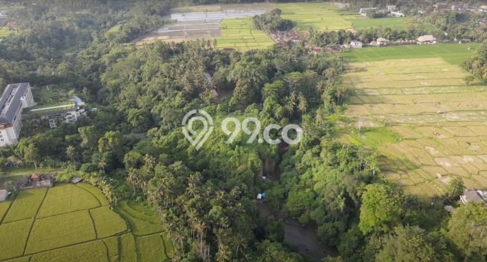 Disewakan Tanah Lokasi Strategis di Ubud Gianyar 5500m2 Disewakan Tanah Lokasi Strategis di Ubud Gianyar 5500m2