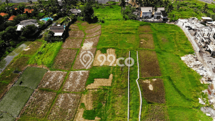 Land Rental Tanah Kawasan Seseh, Luas 500m², Lokasi Strategis Land Rental Tanah Kawasan Seseh, Luas 500m², Lokasi Strategis