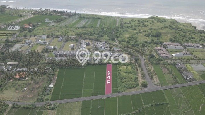 Land Rental Tanah Kawasan Belalang, Luas 1100m², Akses Bagus Land Rental Tanah Kawasan Belalang, Luas 1100m², Akses Bagus