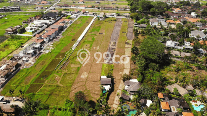 Land Rental Tanah Kawasan Seseh, Luas 500m², Lokasi Strategis Land Rental Tanah Kawasan Seseh, Luas 500m², Lokasi Strategis