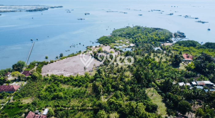 Lahan Kosong Dijual di Buleleng, Buleleng, Luas 5000m2 Area Strategis Lahan Kosong Dijual di Buleleng, Buleleng, Luas 5000m2 Area Strategis