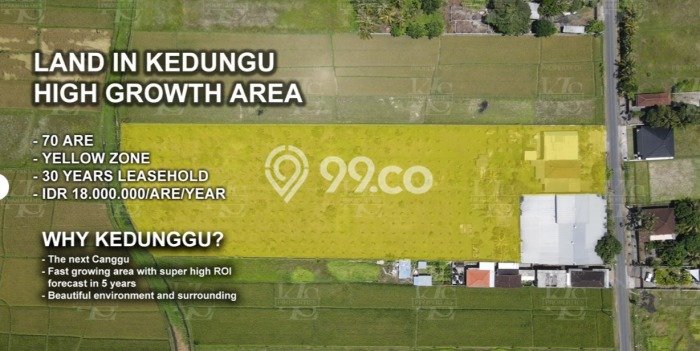 Tanah Potensial di Belalang, Luas 7000m², For Rent Tanah Potensial di Belalang, Luas 7000m², For Rent
