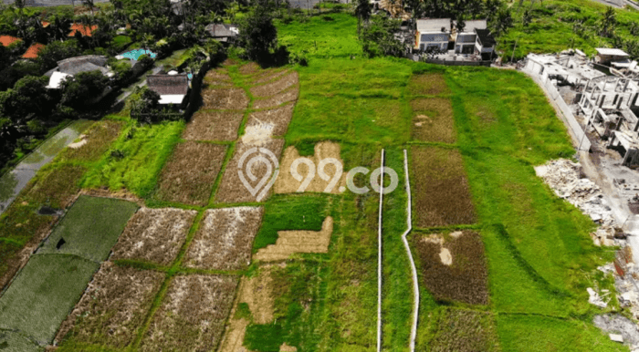 Tanah di , Luas 500m2m², Tersedia untuk Sewa Tanah di , Luas 500m2m², Tersedia untuk Sewa