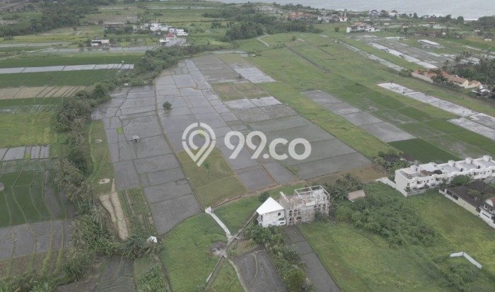 Tanah Strategis Kawasan Belalang, Luas 1000m², For Rent Tanah Strategis Kawasan Belalang, Luas 1000m², For Rent
