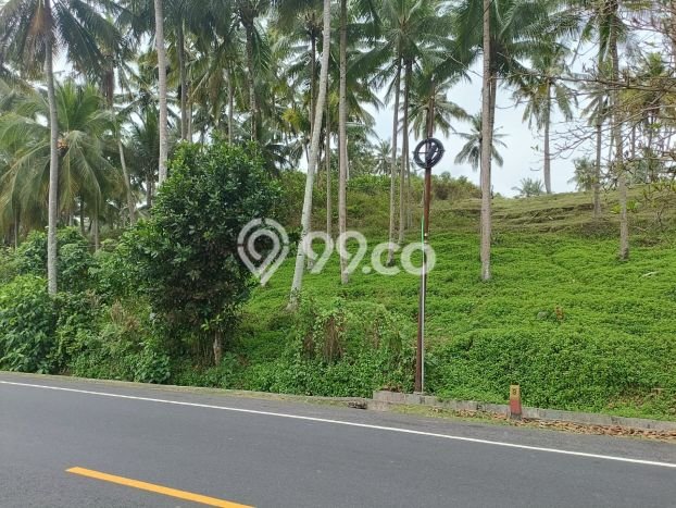 Tanah di Selemadeg, Luas 14575m2m², Akses Selemadeg, Tabanan, Tabanan Tanah di Selemadeg, Luas 14575m2m², Akses Selemadeg, Tabanan, Tabanan