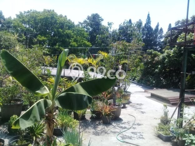 Hunian Super Elit dengan Akses Paling Strategis di Sayap Dago, Bandung Hunian Super Elit dengan Akses Paling Strategis di Sayap Dago, Bandung