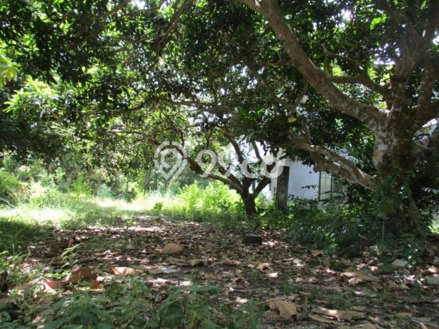Tanah Kavling Dijual di Kutuh, Badung dengan Luas Tanah 2580m2 Tanah Kavling Dijual di Kutuh, Badung dengan Luas Tanah 2580m2