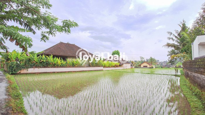 Vila Siap Huni Kawasan Ubud, Luas 0m2m², Harganya Terjangkau Vila Siap Huni Kawasan Ubud, Luas 0m2m², Harganya Terjangkau