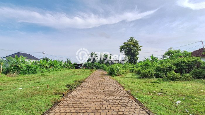 Kavling Tanah untuk Dijual di Kutuh, Badung, Luas 200m2 Kavling Tanah untuk Dijual di Kutuh, Badung, Luas 200m2