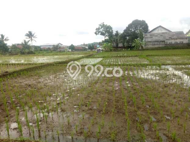 Tanah Area Potensial Kawasan Kota Sukabumi, Luas 2532m², Lingkungan Nyaman, Dekat Kota Sukabumi, Sukabumi, Sukabumi Tanah Area Potensial Kawasan Kota Sukabumi, Luas 2532m², Lingkungan Nyaman, Dekat Kota Sukabumi, Sukabumi, Sukabumi
