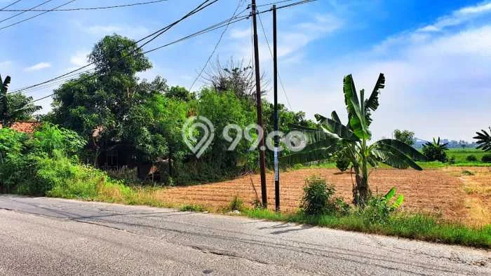 Tanah di Babelan, Bekasi Luas 649m2 Dijual Segera Tanah di Babelan, Bekasi Luas 649m2 Dijual Segera
