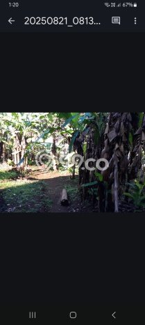 Kavling Tanah Dijual di Talaga, Majalengka, Luas 900m2 Area Strategis Kavling Tanah Dijual di Talaga, Majalengka, Luas 900m2 Area Strategis