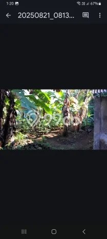 Kavling Tanah Dijual di Talaga, Majalengka, Luas 900m2 Area Strategis Kavling Tanah Dijual di Talaga, Majalengka, Luas 900m2 Area Strategis