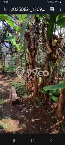 Kavling Tanah Dijual di Talaga, Majalengka, Luas 900m2 Area Strategis Kavling Tanah Dijual di Talaga, Majalengka, Luas 900m2 Area Strategis